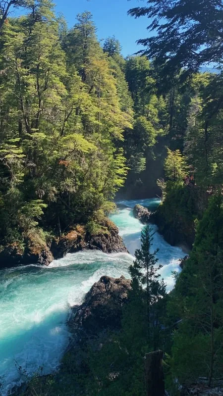 Río entre bosques patagónicos, proyecto Turismo Review
